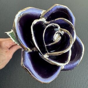 White gold dipped purple real rose